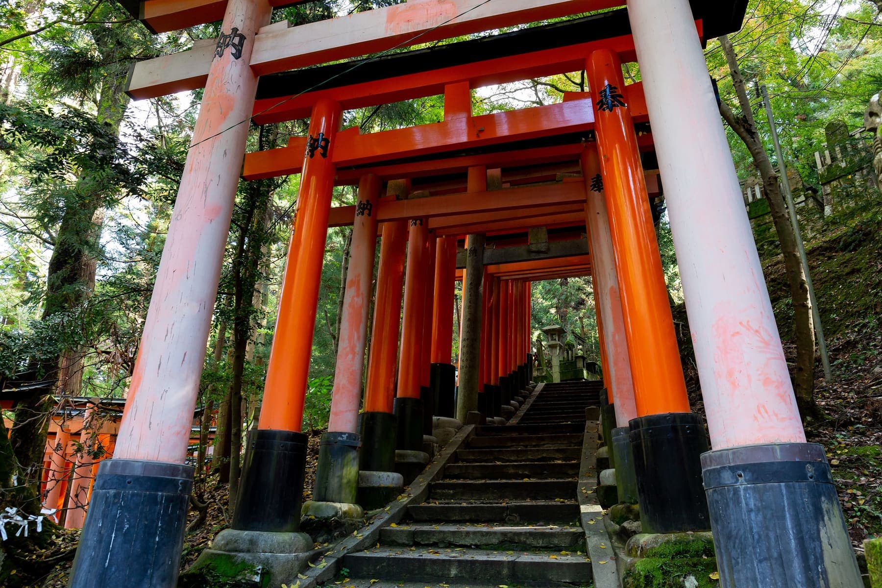 Red torii gates at Fushimi Inari shrine in Kyoto
