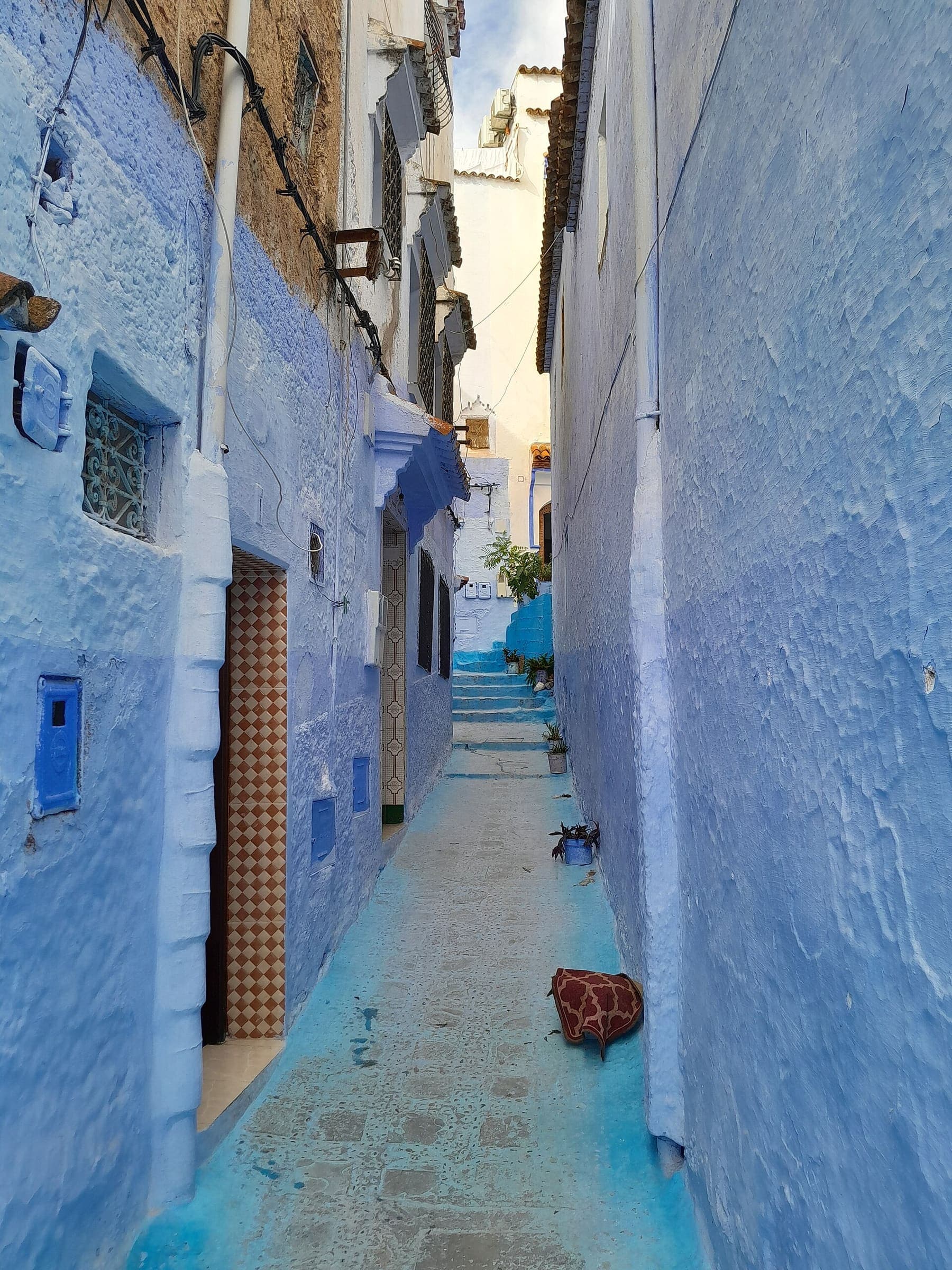 Narrow blue-washed lane in the old town of Chefchaouen