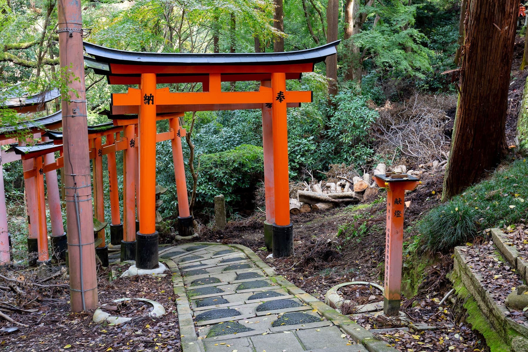Stone steps leading through rows of red torii gates in Kyoto