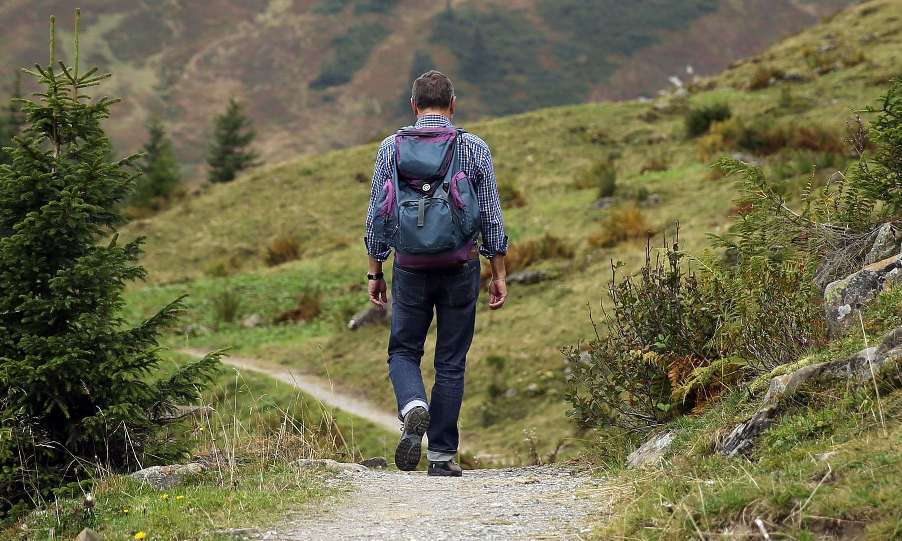 Hiker with a backpack walking down a grassy mountain trail